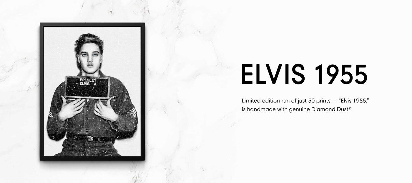 Elvis Fine art banner 