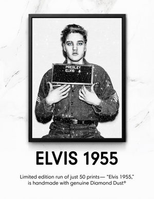 Elvis Fine art banner for mobile
