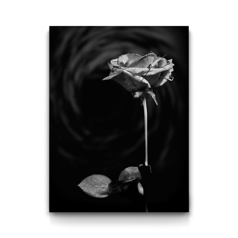 Vortex Rose framed canvas art by The BLK Gallery