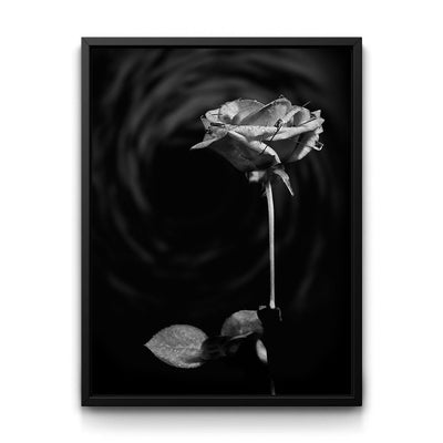 Vortex Rose framed canvas art by The BLK Gallery